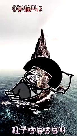 学猫叫搞笑改编