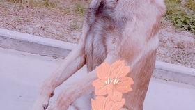 以家人之名的背景歌,温情脉脉的家庭乐章