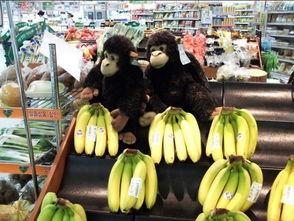 韩国香蕉娱乐地址,探索韩国娱乐圈的璀璨星河